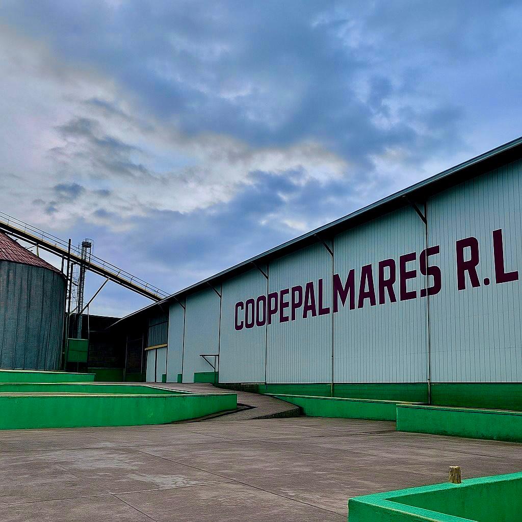 Beneficio Coopepalmares