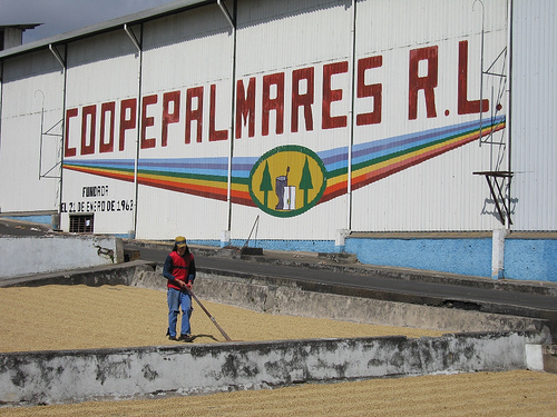 Imagen de la cooperativa